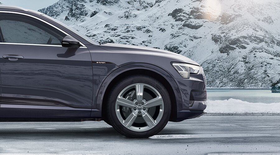 Audi vinterdekk